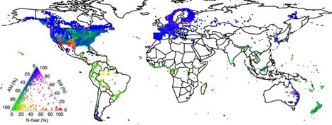 Climatic controls of decomposition drive the global biogeography of forest-tree symbioses | Biodiversité | Scoop.it