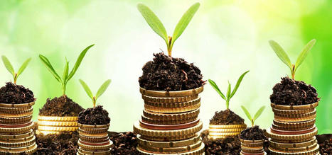 Greenhushing impacting private markets' ESG activity | Sustainable Procurement News | Scoop.it
