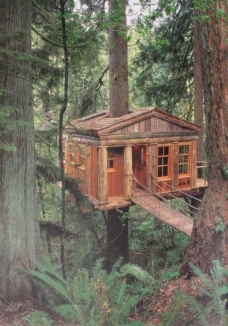Old treehouse | 1001 Gardens | 1001 Gardens ideas ! | Scoop.it