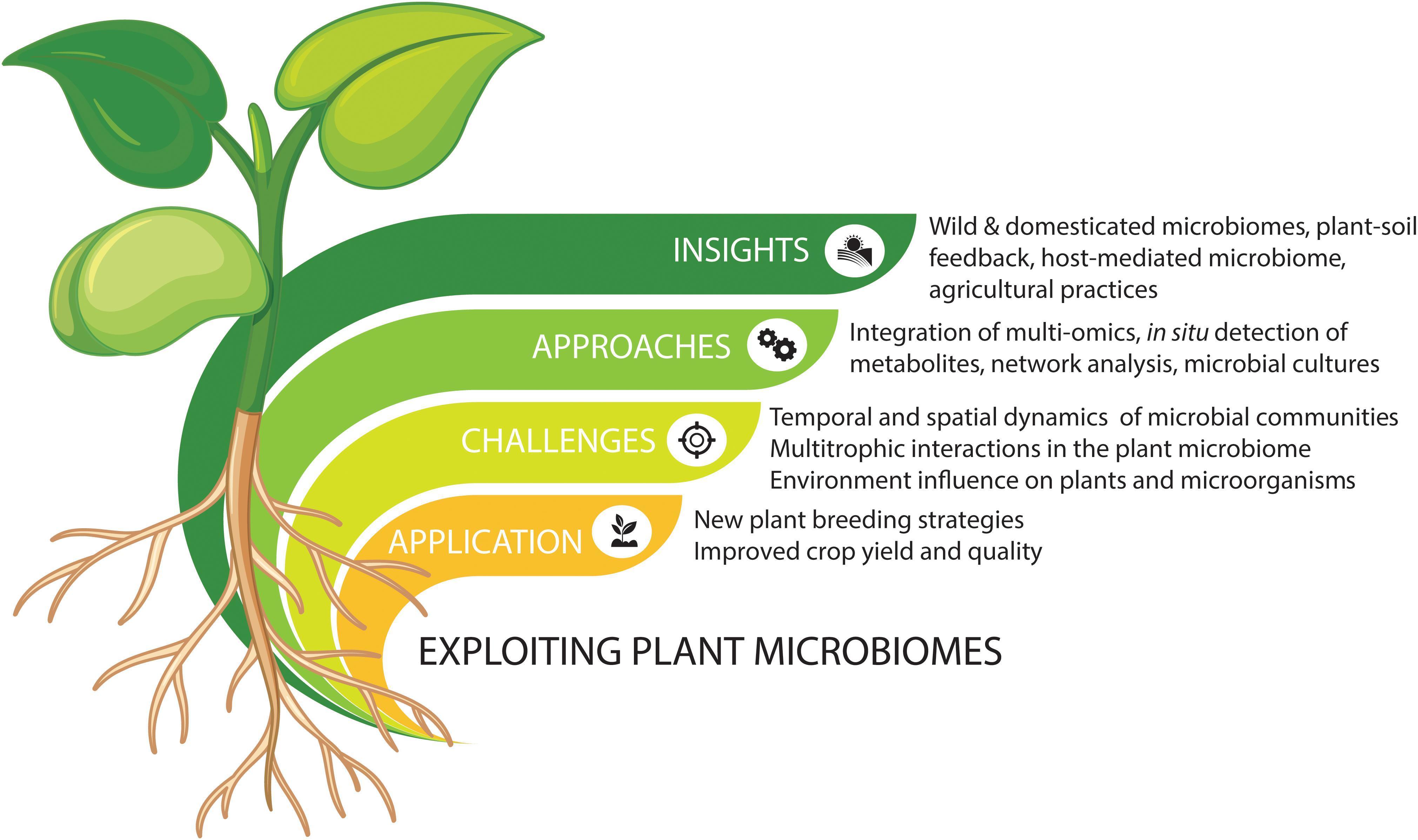 Beyond Plant Microbiome Composition Exploiting...
