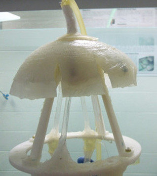 Robotic Jellyfish: Unlikely but Formidable Monitor of Earth's Oceans | iRobolution | Scoop.it