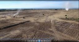 La restauration de systèmes dunaires sur le site de Terre-Neuve en Camargue Gardoise | Camargue Nature | Scoop.it