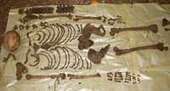 Dimorfismo sexual en la identificación forense | Marisol y Rafa | Scoop.it