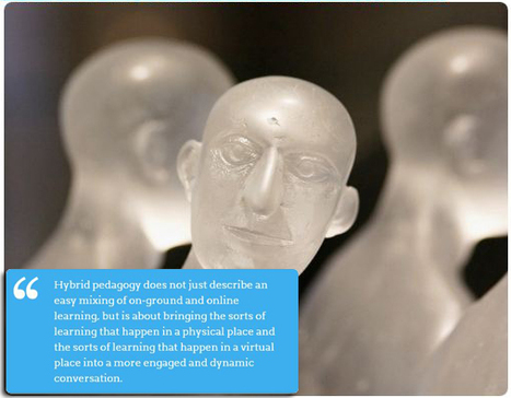 Explaining and Applying Hybrid Pedagogy &raquo; Online Universities | Higher Education in the Future | Scoop.it