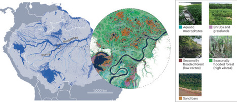 The role of rivers in the origin and future of Amazonian biodiversity | Nature Reviews Biodiversity | RAINFOREST EXPLORER | Scoop.it