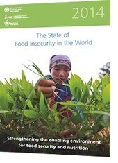The State of Food Insecurity in the World&nbsp;| FAO | Food & Nutrition Security in East Africa | Scoop.it