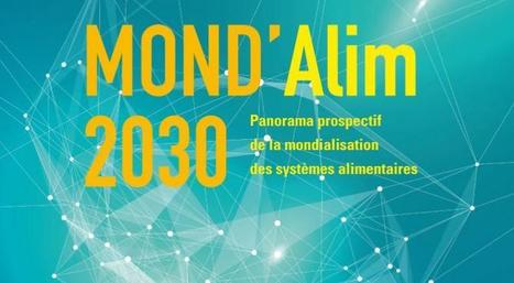 MOND’Alim 2030 : un regard prospectif sur la mondialisation des systèmes alimentaires - Analyse n° 100 | Environnement : Politiques Publiques et Stratégie | Scoop.it