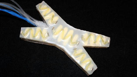 Soft robot detects its own damage and heals itself | Amazing Science | Scoop.it