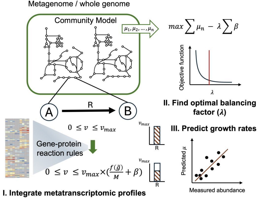 Integration of metatranscriptomics data improve...