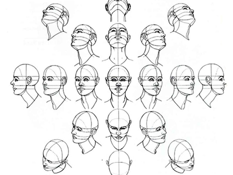 How To Draw The Human Head | Draw As A Maniac | Drawing References and Resources | Scoop.it