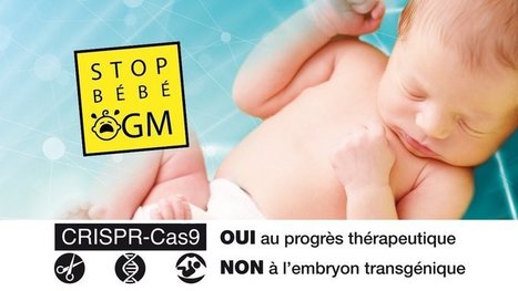Le bébé OGM à l'aube du «CRISPR-Cas9» | Bioéthique & Procréation | Scoop.it