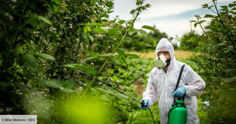 Les pesticides sont plus utilisés dans les champs proches des exploitations bio, révèle une étude | Attitude BIO | Scoop.it
