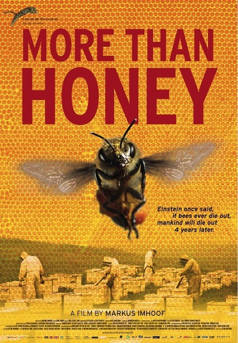 Un film suisse sur les abeilles en première mondiale à Locarno | Variétés entomologiques | Scoop.it