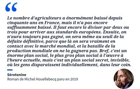Michel Houellebecq serait-il le grand prophète de la révolte paysanne? | Lait de Normandie... et d'ailleurs | Scoop.it