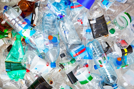 Les élus disent NON ! à la consigne des bouteilles plastiques | Plusieurs idées pour la gestion d'une ville comme Namur | Scoop.it