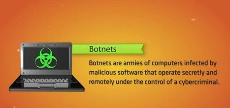How financial botnets like #Zeus infect computers [video] | ICT Security-Sécurité PC et Internet | Scoop.it