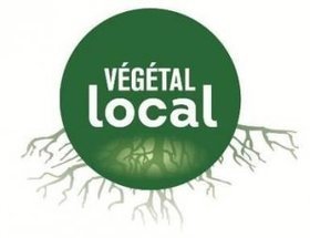 Lettre information Végétal local - Avril 2020 | Biodiversité | Scoop.it