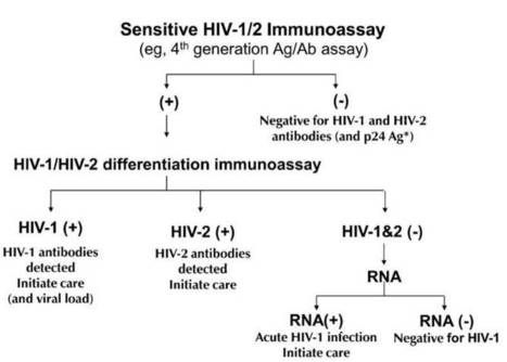 It’s Time to Dump the HIV Western Blot | sida | Scoop.it