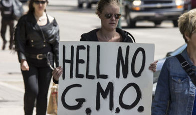 Monsanto abandonne le marché OGM en Europe | Economie Responsable et Consommation Collaborative | Scoop.it