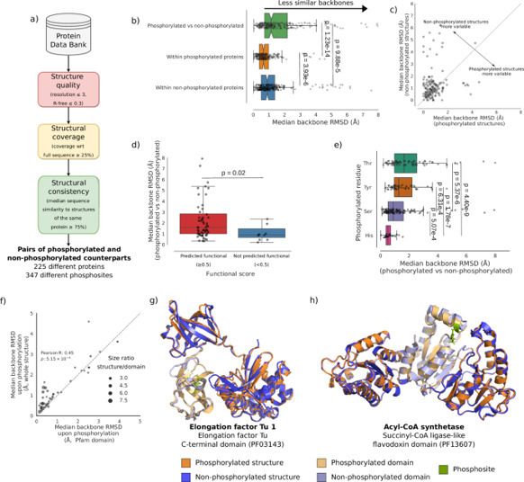 Global comparative structural analysis of respo...