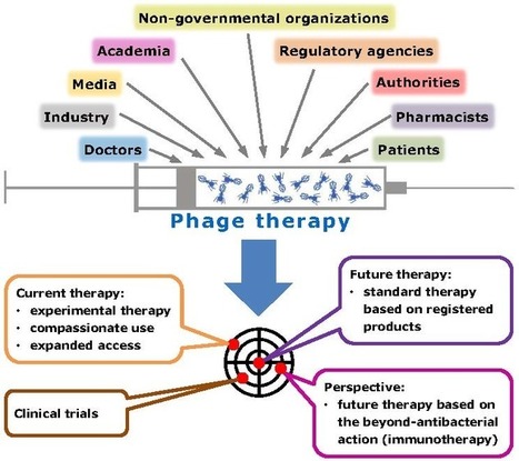 Phage Therapy: What Have We Learned? | Immunology and Biotherapies | Scoop.it