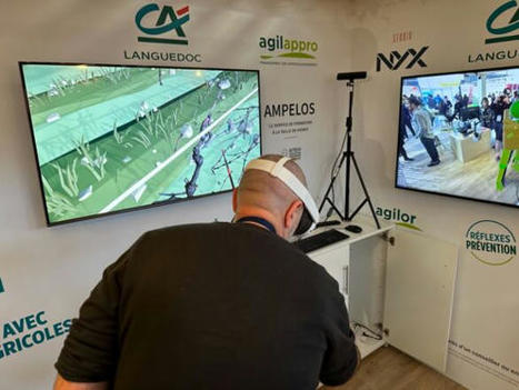 Amp&eacute;los, le simulateur (en or) de formation &agrave; la taille de la vigne - Pleinchamp | Pour innover en agriculture | Scoop.it