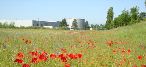 Biodiversit&eacute; : "penser la ville comme un &eacute;cosyst&egrave;me complet" | Vers la transition des territoires ! | Scoop.it