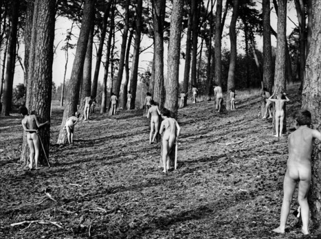 Microsoft fait la chasse aux fesses | Chronique des Droits de l'Homme | Scoop.it