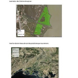 Suivi par baguage des oiseaux paludicoles sur les roselières  communales en périphérie du Parc Ornithologique de Pont de Gau | Camargue Nature | Scoop.it
