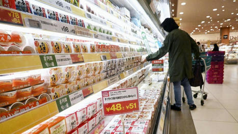 Japan's October consumer prices rise 3.6%, quickest in 4 decades | Japanese Travellers | Scoop.it