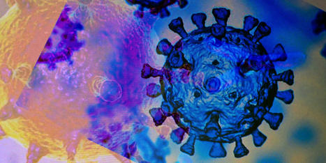 Covid-19 : faut-il craindre le prochain variant ? | Crise sanitaire | Scoop.it