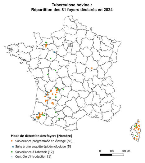Tuberculose bovine : la situation en France | Actualités de l'élevage | Scoop.it