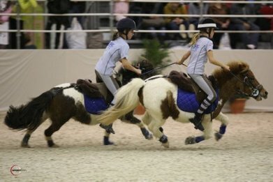 La journée des enfants le mercredi 7 décembre | Salon du Cheval | Scoop.it