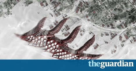Seashells or spider silk: how nature could transform the structure of cities | Biomimicry 3.8 | Scoop.it