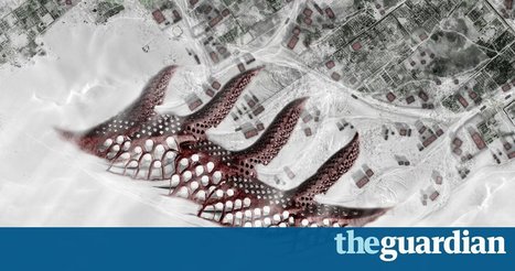 Seashells or spider silk: how nature could transform the structure of cities | Rainforest CLASSROOM | Scoop.it