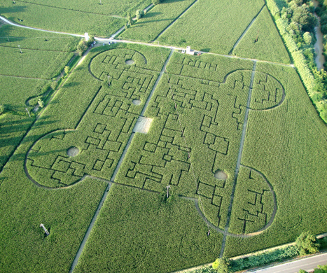 Divertimento in Campagna: il Labirinto di Mais di Senigallia | Good Things From Italy - Le Cose Buone d'Italia | Scoop.it