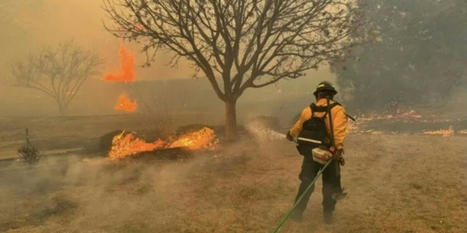 Texas battling largest wildfire in its history - Raw Story | Agents of Behemoth | Scoop.it