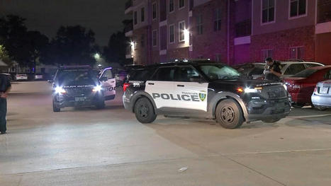 Domestic violence shooting: Off-duty Houston police officer accused of shooting wife in face during argument - ABC13.com | Operation Oya | Scoop.it