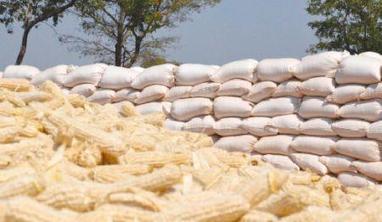 Kenya: les importations agroalimentaires ont atteint 2,5 milliards $ en 2018 | Questions de développement ... | Scoop.it