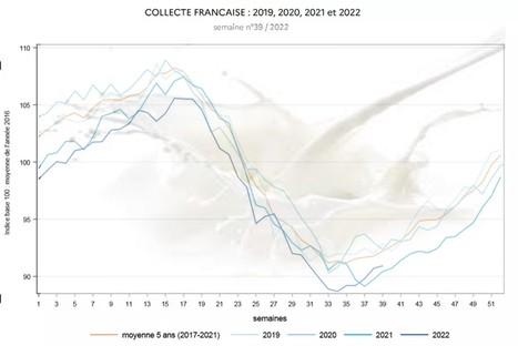 La baisse de la collecte laitière française semble enrayée | Lait de Normandie... et d'ailleurs | Scoop.it