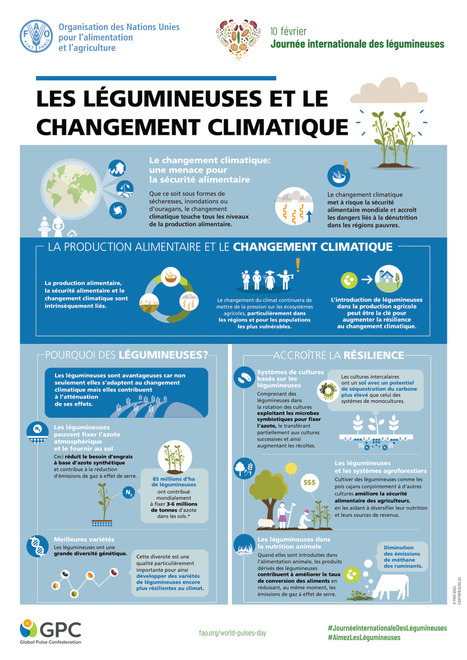 Les #légumineuses peuvent contribuer à l'atténuation du #changementclimatique | Planète DDurable | Scoop.it