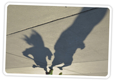 Perspective Play: 7 Photo Projects to Try | Photojojo | PHOTOS VIDÉOS : TRUCS, ASTUCES, MATÉRIEL | Scoop.it
