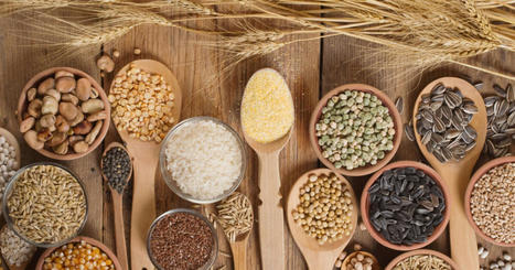 LDC grains and oilseeds warehouse opens in Argentina | CORPS GRAS | Scoop.it