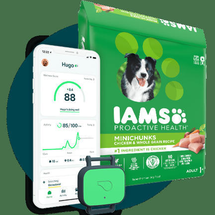 IAMS™ Whistle™ Partnership | Quantified Pet | Scoop.it