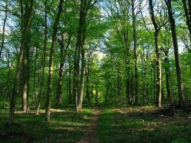 Concertations pour mieux gérer et préserver les aires protégées en Tunisie | Biodiversité | Scoop.it