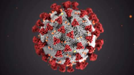 The Policy Response to Coronavirus and COVID-19: A Call for Papers | Evaluación de Políticas Públicas - Actualidad y noticias | Scoop.it