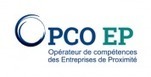 Replay - Regards croisés des OPCO sur les pratiques de formation pendant et après la (...) - fffod | Formation : Innovations et EdTech | Scoop.it