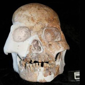 Scientists may have just discovered a brand new species of human | Science News | Scoop.it