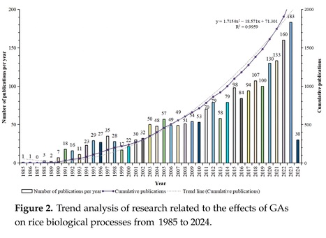 Research Overview and Trends of the Effects of Gibberellins (GAs) on Rice Biological Processes: A Bibliometric Analysis | Plant hormones (Literature sources on phytohormones and plant signalling) | Scoop.it