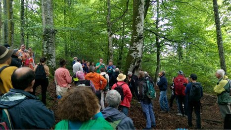 Le Collectif « Touche pas à ma forêt Pyrénées » a été reçu par Carole Delga  | Vallées d'Aure & Louron - Pyrénées | Scoop.it